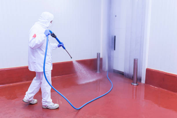 Trusted Auburn Lake Trails, CA Pressure Washing Services Experts