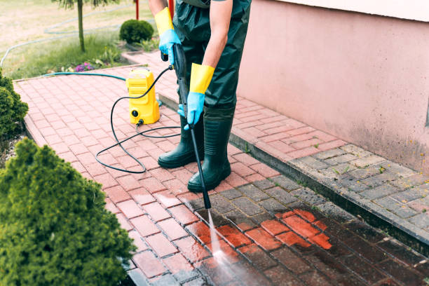 Best Animal Enclosure Cleaning  in Auburn Lake Trails, CA